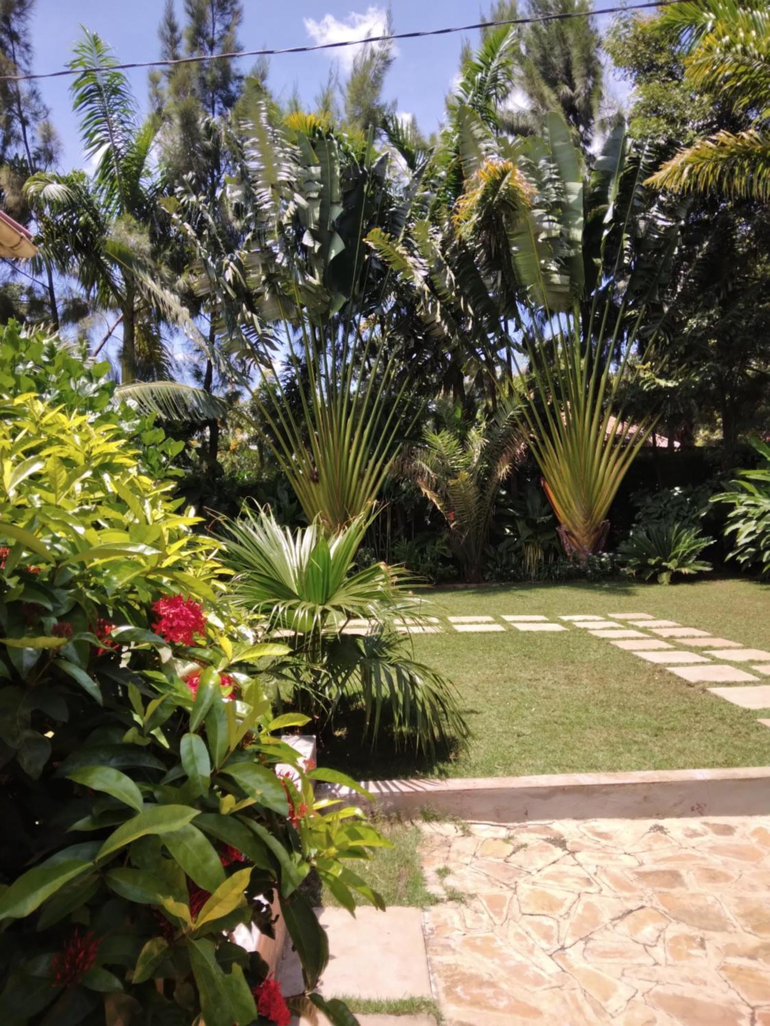 Sprunger Avenue - Tulia Homes Moshi Dış mekan fotoğraf